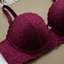 Premium Lace Padded Bra for Women | Comfortable Everyday Wear